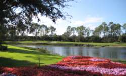 Mediterra Golf Course
